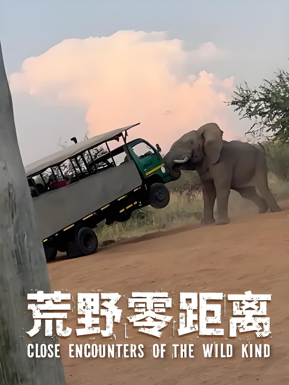 冷门佳作榜海报