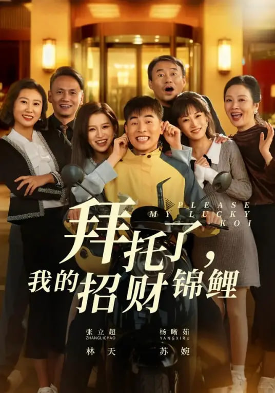 热播榜第五名海报